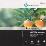 le clementine della Sibaritide 1